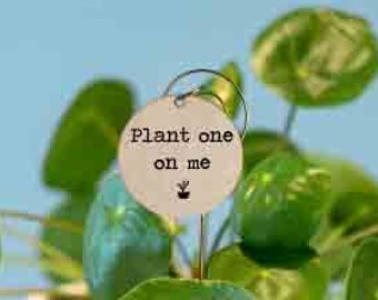 Plant Pun Garden Markers [Set of 5] | Plant Stakes | Plant Puns | Plant Signs | Garden Markers | Plant Decorations | Plant Markers Funny