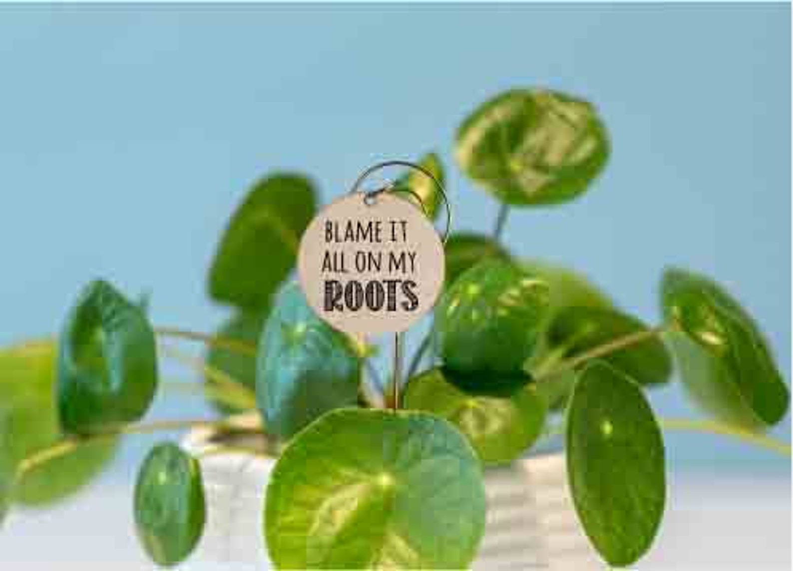Set of 5 Funny Plant Pun Garden Markers Plant Stakes Funny Etsy
