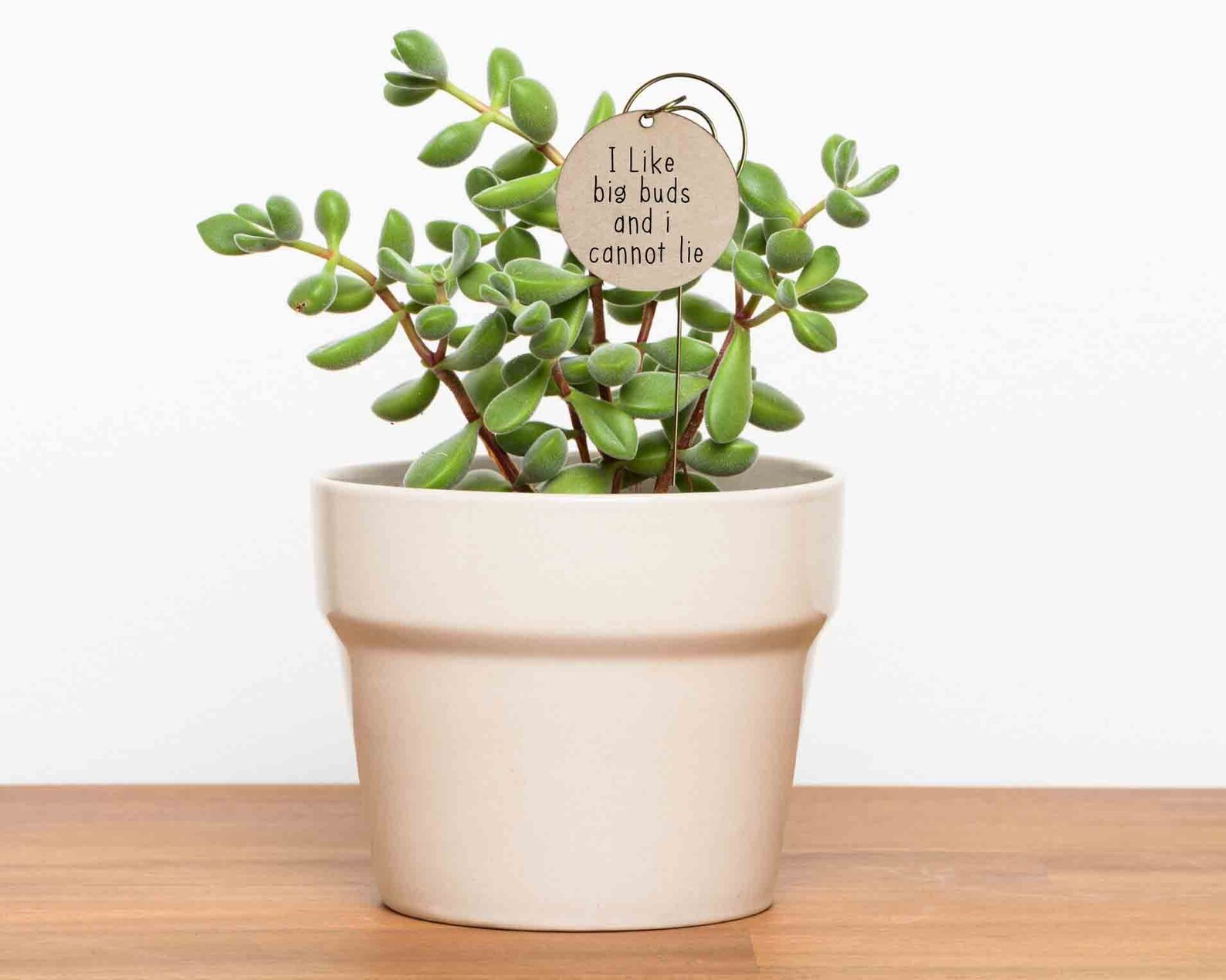 Set of 5 Funny Plant Pun Garden Markers Plant Stakes Funny Etsy