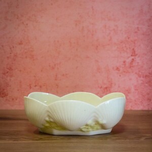 May include: A cream-colored ceramic bowl featuring a scalloped rim and a molded shell-like exterior design. The base of the bowl displays a subtle, textured pale green accent detail that follows the contours of the shell patterns around the perimeter.