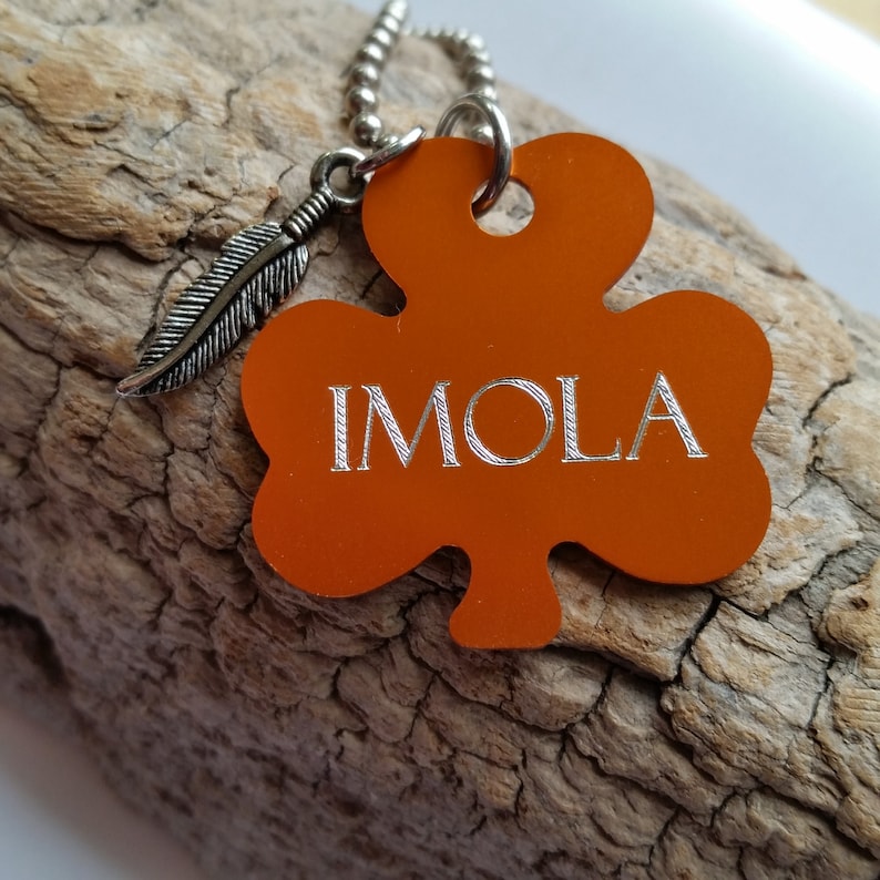 Imola Good Luck in Choctaw. Native American. feather charm Etsy