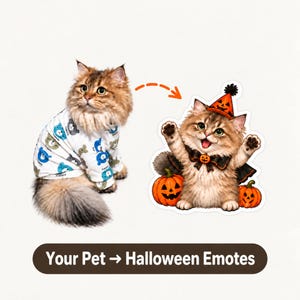 Op de afbeelding: Een langharige bruine cyperse kat in een wit shirt met blauwe en grijze berenpatronen naast een cartoonillustratie van dezelfde kat met een Halloween-pompoenhoed en cape, omringd door pompoenen, met de tekst Your Pet → Halloween Emotes.