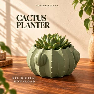 Puede incluir: Una maceta con forma de cactus en color verde salvia con textura acanalada y pequeños puntos en relieve, que contiene una suculenta verde. El texto dice FORMORASTL, CACTUS PLANTER y STL DIGITAL DOWNLOAD.