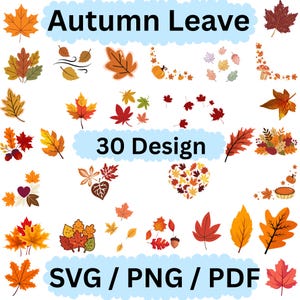 May include: A digital collection of 30 autumn leaf designs featuring various foliage shapes in orange, red, yellow, and brown. The graphic includes text reading Autumn Leave, 30 Design, and SVG / PNG / PDF, with scattered leaves, pumpkins, and a heart shape.