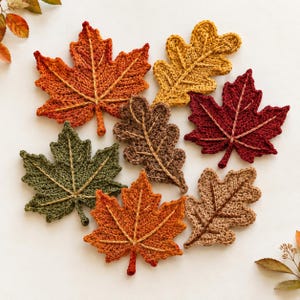 May include: A collection of seven crocheted autumn leaves in various shapes and colors, including maple and oak leaf designs. The leaves feature shades of orange, red, yellow, green, brown, and tan, each with visible stitched vein details.