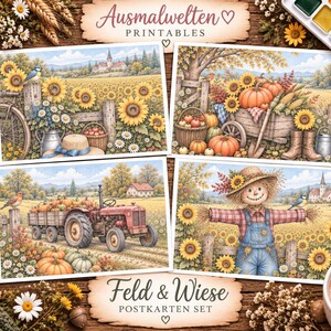 Postkarten Feld und Wiese , digitale Malvorlage für Erwachsene, Grayscale , sofortiger Download, 2 druckbare PDF-Dateien.