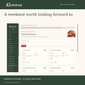 Bachelorette Party Planner App, Group Payments, Weekend Itinerary, Rooms and Packing List, Digital Download image 4