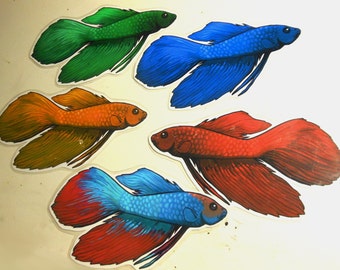 Betta Fish Page Pet