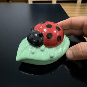 Diffusore di aromi in pietra con coccinella dipinta a mano con finitura multicolore, scultura profumata in gesso realizzata a mano, decorazione riutilizzabile per la casa e l'ufficio.