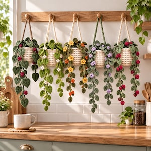 Peut inclure: Cinq cache-pots suspendus en crochet fixés à une étagère murale en bois. Chaque panier crème contient une plante verte retombante avec des détails distincts : baies rouges, baies blanches, fleurs jaunes et orange, fleurs violettes et baies rouges.