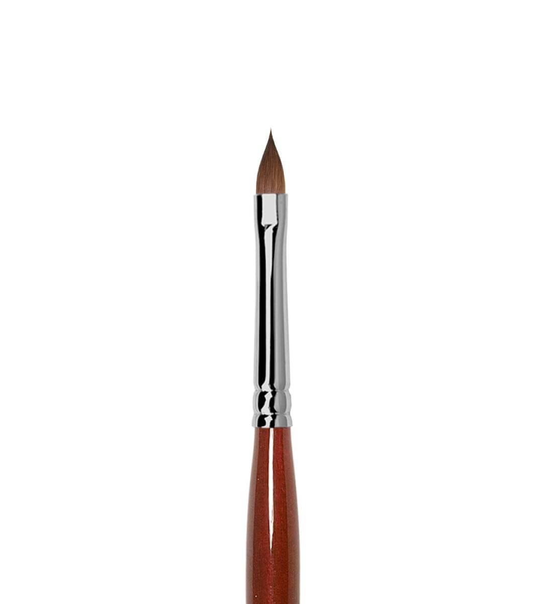 Professional Paint Brushes .BRUSH FOR WATERCOLOR Round Brush Professional  .squirrel .watercolors 