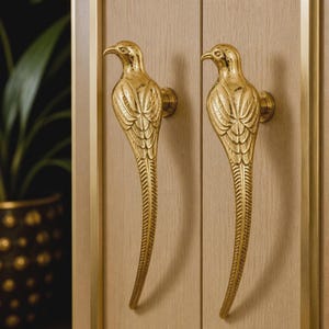 Tür- und Schubladengriff aus massivem Messing in Papageienform, Vintage-Möbelgriff in Vogelform