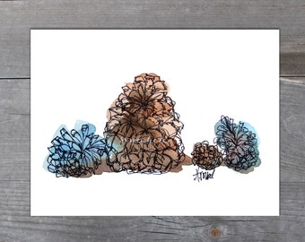 Winter Pine Cones - Watercolor Print