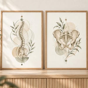 May include: Two framed wall art prints featuring anatomical illustrations. The left print shows a human spine and pelvis, while the right print displays a human pelvis. Both are decorated with botanical leaf motifs and geometric circles.