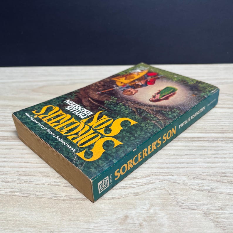 Sorcerer's Son by Phyllis Eisenstein, Book of Elementals 1 - Vintage 1979 Mass Market Paperback image 3