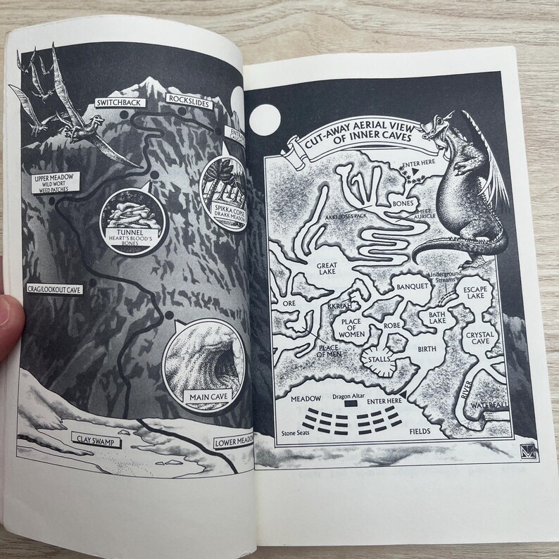 A Sending of Dragons by Jane Yolen, Pit Dragon Chronicles 3 - Vintage 1997 Paperback image 9