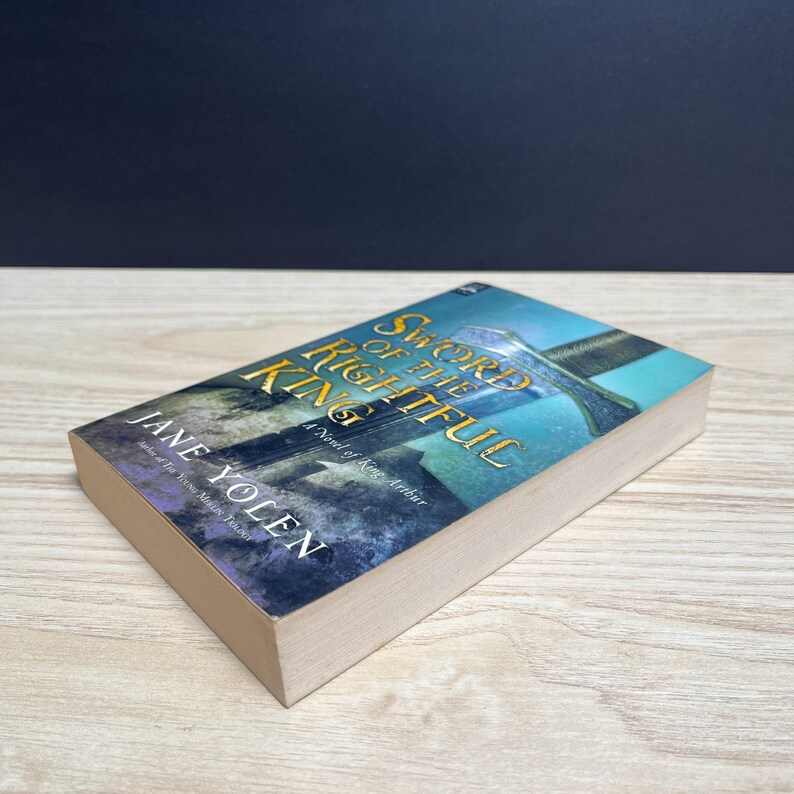 Jane Yolen Taschenbuch, Konvolut von 4 Bänden der Pit Dragon Chronicles Wizard's Hall (Vintage) Bild 7