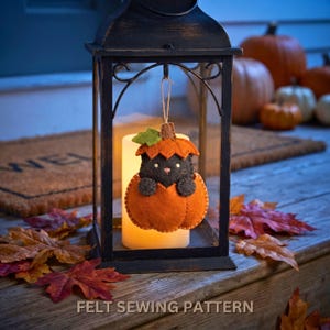 Felt cat in pumpkin ornament hanging from a glowing black porch lantern on autumn steps