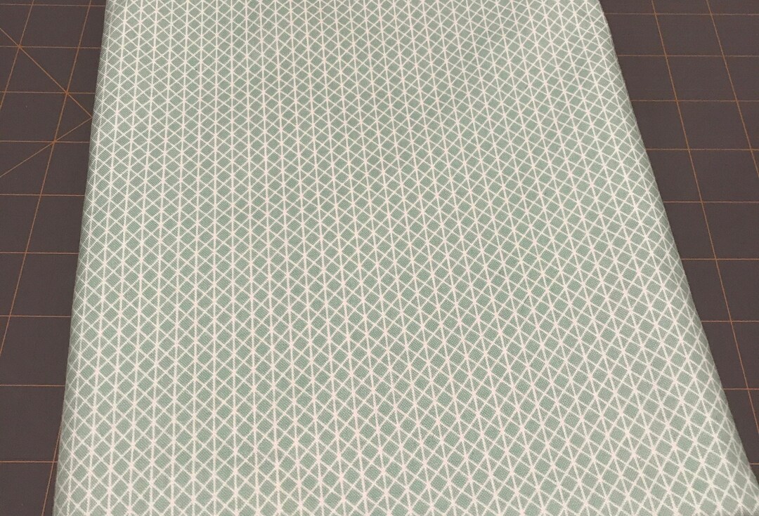 Cotton Steel Basics Notorious in Jam Jar Etsy