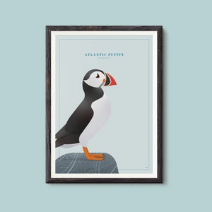 Atlantic Puffin (A3 print)