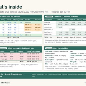 Subscription Bill Tracker Spreadsheet | Monthly Budget Dashboard (Excel/Google Sheets) image 3