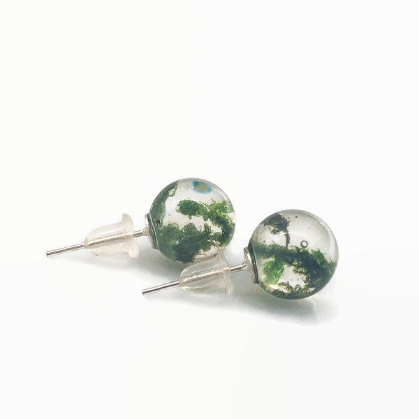 Moos, Terrarium, coole Ohrringe, Terrarium Ohrringe, Ohrstecker Natur, Natur Schmuck, Moos Ohrringe, grüne Stollen, Eco chic Moos Schmuck