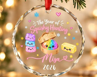 Personalized Squishy Christmas Ornament 2026, Squishy Ornament, Dumpling Ornament, Lover Gift, Year of Squishy Ornament, Kids Keepsake