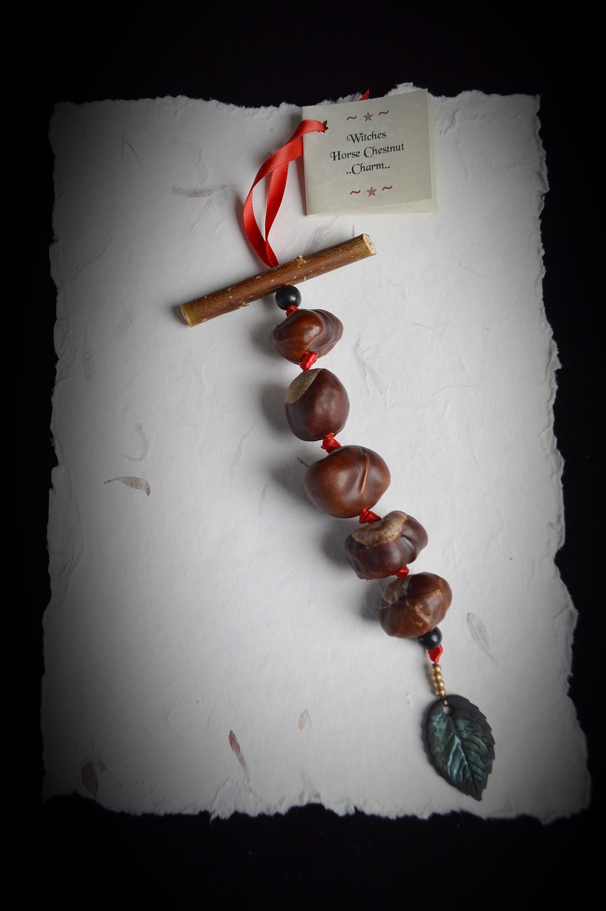 Witches Horse Chestnut Charm for Wealth & Success!