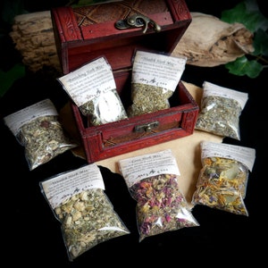 Holy Santo Organic Dried Herbs for Witchcraft Supplies Kit - 10 Witch Herbs  for Spells with Crystal Spoon in Beginner Witchcraft Kit - Witchy Gifts