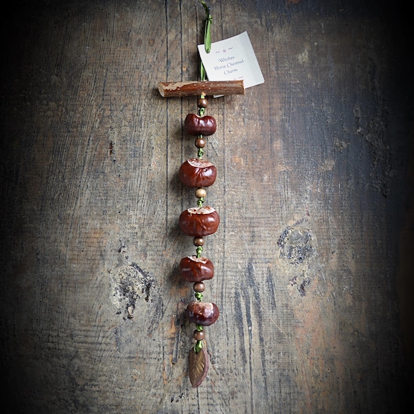 Witches Horse Chestnut Charm: Handmade Yule Ladder, Success & Prosperity