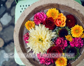 Vibrant Flowers in Bowl of Water, horizontal photograph 8x12, 12x18, 16x24, 20x30, 24x36