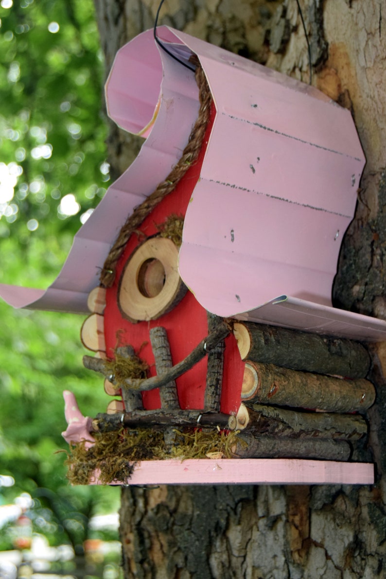 Bird House Birdhouse Curvy Lady Birdhouse Available in Color Etsy