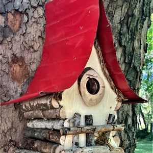 Bird House, functional and decorative birdhouse, unique and whimsical Birdhouse in color options, garden art, gift, garden decor image 3