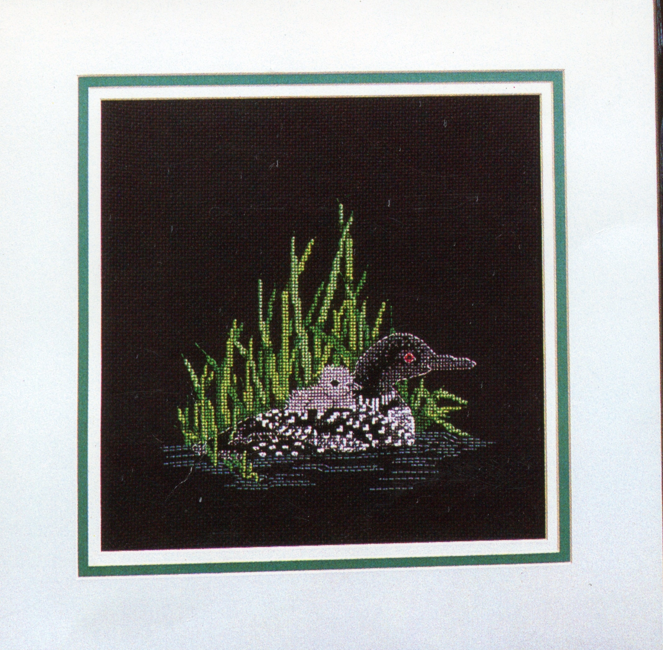 For the Love of Loon Cross Stitch Pattern Full Color Cross Etsy