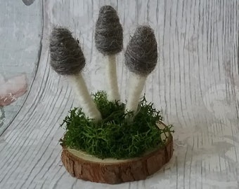 Needle Felted Toadstool, needle felted mushrooms, toadstool on a log slice, Toadstool sculpture