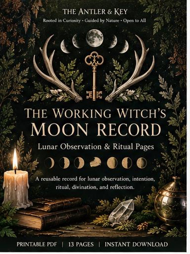 The Working Witch's Moon Record
