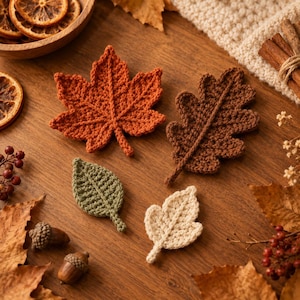 May include: Four crocheted leaf appliques in autumn colors: a large orange maple leaf, a brown oak leaf, a small sage green leaf, and a small cream-colored leaf, each featuring detailed yarn stitching and a central vein texture.
