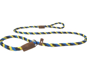 May include: A blue, black, and yellow braided rope dog leash with a brown leather handle and a metal clip.