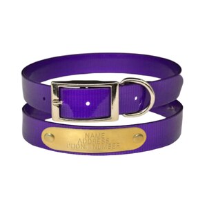 Warner Waterproof Dayglo dog collar with FREE custom engraved ID tag purple