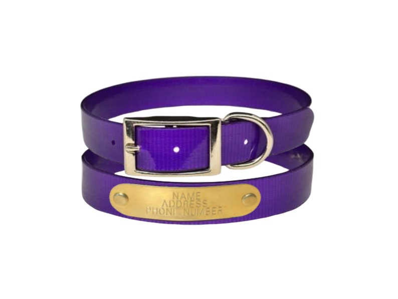 Warner Waterproof Dayglo dog collar with FREE custom engraved ID tag purple