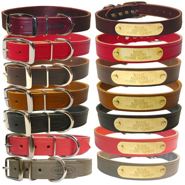 Brass Dog Collar Id Plate Etsy