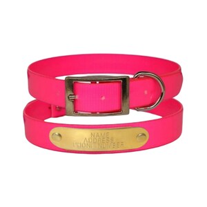 Warner Waterproof Dayglo dog collar with FREE custom engraved ID tag pink