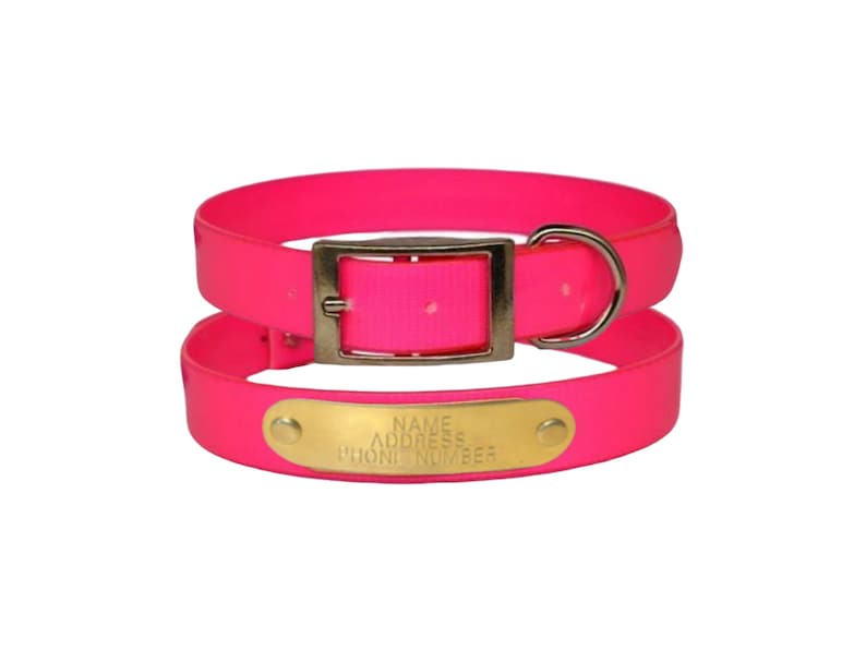 Warner Waterproof Dayglo dog collar with FREE custom engraved ID tag pink