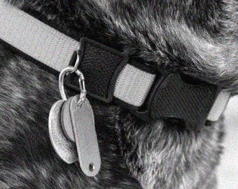 Easy Change ID Tag Holder Quick Clips for Dog Cat Pet Collars (2 clips)