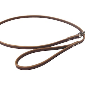 May include: A brown leather dog leash with a silver clip and metal accents.