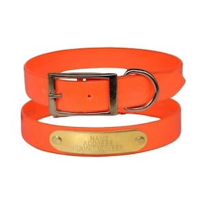 Warner Waterproof Dayglo dog collar with FREE custom engraved ID tag, Orange, pink, or purple