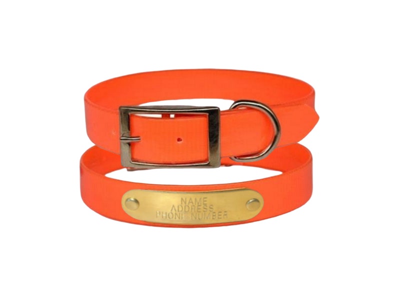 Warner Waterproof Dayglo dog collar with FREE custom engraved ID tag, Orange, pink, or purple