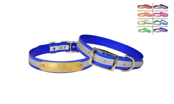 Dayglo dog collars cheap