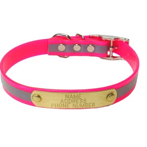 Warner Sporting Reflective Dayglo Dog Collar for Small - Medium Dogs with Free brass ID tag 3/4&quot; wide USA