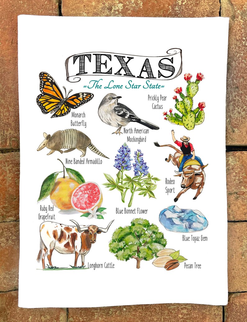 Pamela Cassidy Designs Kitchen Towel
